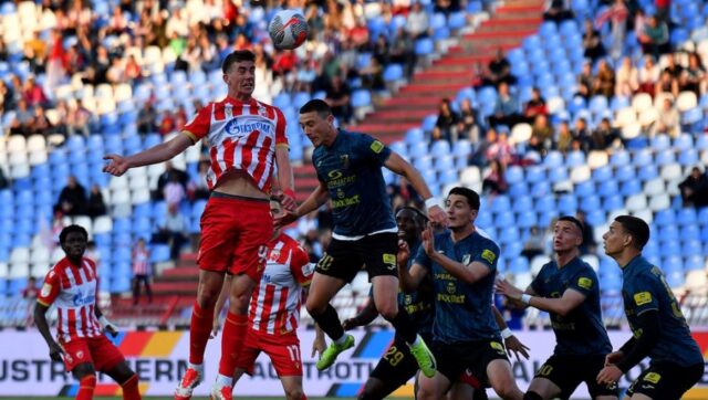 Novosadjani se ne plase zvezde idemo na pobedu dres i.jpg