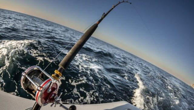 AMERIKA U SOKU Velika zvezda poginula na pecanju ubila je.jpg