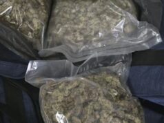 Fudbaler uhvaćen sa 14 kilograma droge, oba roditelja mu rade u policiji Fudbaler uhvacen sa 14 kilograma droge oba roditelja mu rade.jpg