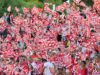 LA LIGA ISPISALA ISTORIJU: Milioni navijača sa tribina pratilo mečeve, Španci se diče ovim podatkom (FOTO) LA LIGA ISPISALA ISTORIJU Milioni navijaca sa tribina pratilo meceve.jpg