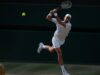 „NEVEROVATNO JE ONO ŠTO RADI NOVAK ĐOKOVIĆ“: Ruskinja uporedila Srbina sa sportskim legendama NEVEROVATNO JE ONO STO RADI NOVAK DJOKOVIC Ruskinja uporedila Srbina.jpg
